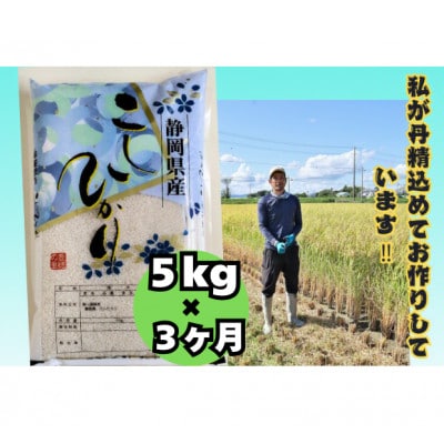 【毎月定期便】【さとふる限定】静岡こしひかり5kg全3回
