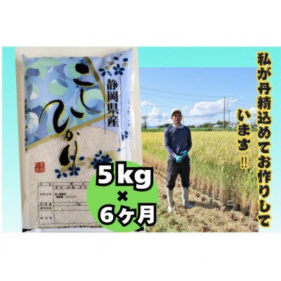 【毎月定期便】【さとふる限定】静岡こしひかり5kg全6回