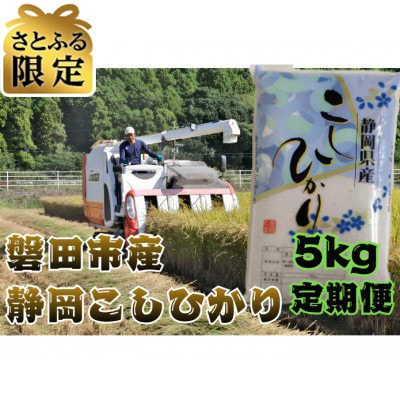 【毎月定期便】【さとふる限定】静岡こしひかり5kg全12回