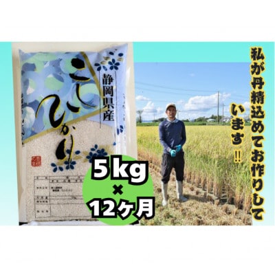 【毎月定期便】【さとふる限定】静岡こしひかり5kg全12回
