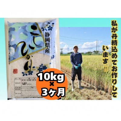 【毎月定期便】【さとふる限定】静岡こしひかり10kg全3回
