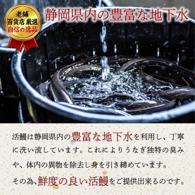 老舗百貨店自信の逸品　静岡県産うなぎ長蒲焼(130g×3P)・蒲焼きざみ(90g×1P)セット