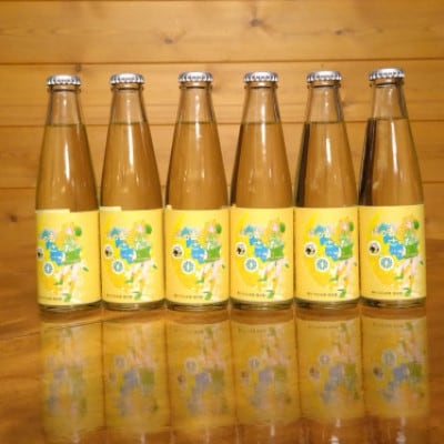 ���̍��T�C�_�[200ml�r�v6�{�Z�b�g