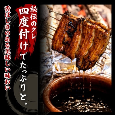 すみの坊三島うなぎの蒲焼き(真空パック)10人前