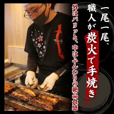 すみの坊三島うなぎの蒲焼き(真空パック)5人前