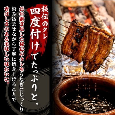 すみの坊三島うなぎの蒲焼き1尾入り(ハーフカット2枚)