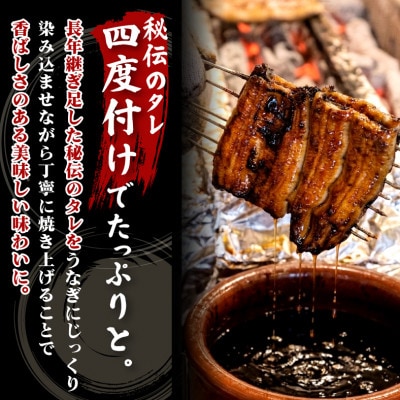 すみの坊三島うなぎの蒲焼き5尾入り(ハーフカット10枚)