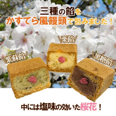 【お歳暮のし付】三島ざくら6個(栗餡2個・黒糖餡2個・しそ餡2個)詰め合わせ　兎月園　静岡県三島市