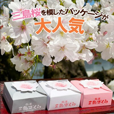 【お年賀ギフト短冊付】三島ざくら6個(栗餡2個・黒糖餡2個・しそ餡2個)詰め合わせ　兎月園