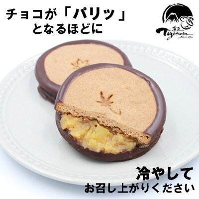 【お年賀ギフト短冊付】ブイマロン5個入　焼き菓子　兎月園　静岡県三島市