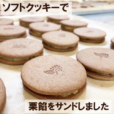 【お年賀ギフト短冊付】ブイマロン5個入　焼き菓子　兎月園　静岡県三島市
