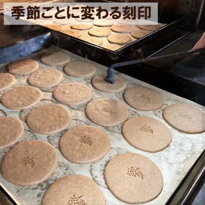 【お年賀ギフト短冊付】ブイマロン5個入　焼き菓子　兎月園　静岡県三島市
