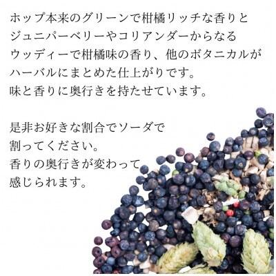リパブリューREPUBREWクラフトジンHOP GIN CITRA 500ml×1本
