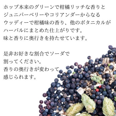 リパブリューREPUBREWクラフトジンHOP GIN CITRA 200ml×1本