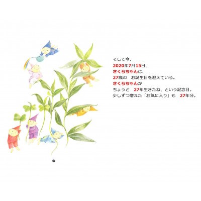 世界でたった一冊の絵本　おたんじょうびのほん(大人用)