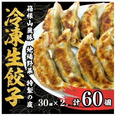 箱根山麓豚冷凍生餃子 30個×2パック
