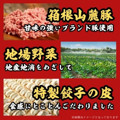 箱根山麓豚冷凍生餃子 30個×2パック