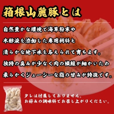 箱根山麓豚冷凍生餃子 30個×2パック