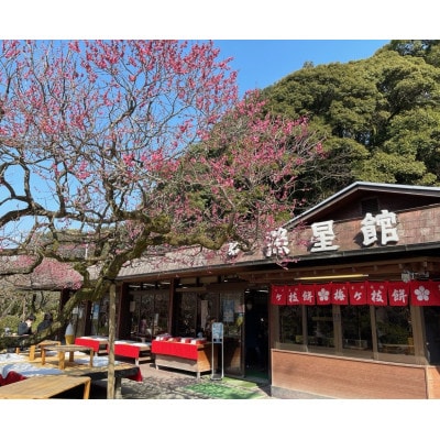 【照星館】【太宰府名物】梅ヶ枝餅20個入り