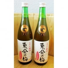 【「令和」ゆかりの地　太宰府の梅使用】太宰府梅酒「東風の梅」720ml×2本セット