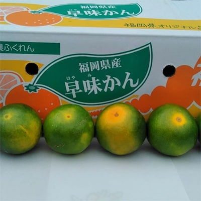 【太宰府】福岡限定!オリジナルブランドみかん「早味かん」約2kg