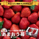 【2026年発送先行受付】【太宰府】フルーツ専門店厳選! 「あまおう苺」春4パック