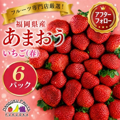 【2027年発送先行受付】フルーツ専門店が選んだ「あまおう苺」春6パック(太宰府市)