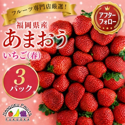 【2027年発送先行受付】春にお届け!福岡産はるあまおう3パック(太宰府市)