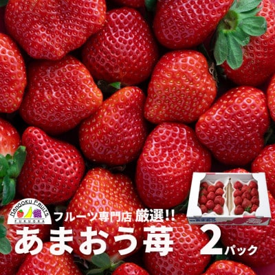 【2027年発送予定・先行受付】フルーツ専門店厳選!「あまおう苺」春2パック(太宰府市)