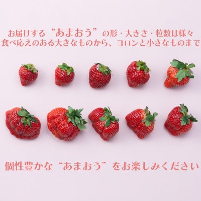 【2027年発送予定・先行受付】フルーツ専門店厳選!「あまおう苺」春2パック(太宰府市)