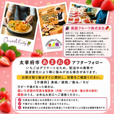 【2027年発送予定・先行受付】フルーツ専門店厳選!「あまおう苺」春2パック(太宰府市)