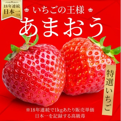うるう農園の贈答用あまおう　800g