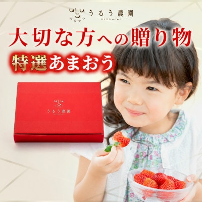 うるう農園の贈答用あまおう　800g