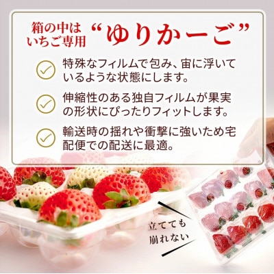 うるう農園の贈答用あまおう　800g