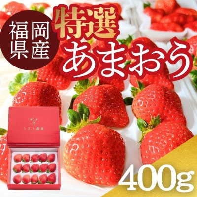 うるう農園の贈答用あまおう　400g