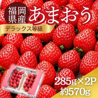 うるう農園のあまおうDX等級 2パック(570g)