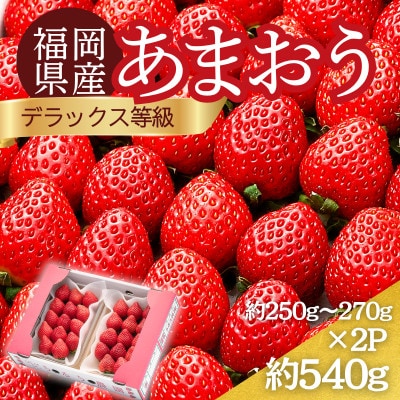 うるう農園のあまおうDX等級 約250～270g×2パック