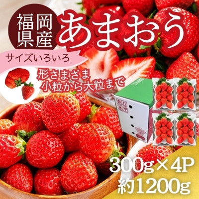 【さとふる限定】【12月より順次発送】あまおう約300g×4パック(約1.2kg)(太宰府市)