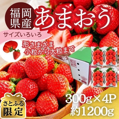【さとふる限定】【12月より順次発送】あまおう約300g×4パック(約1.2kg)(太宰府市)