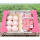 あまおう大福セット(太宰府市)