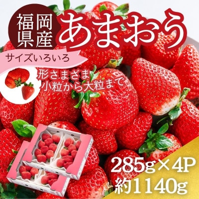 うるう農園のあまおうM～Gサイズ 4パック (1140g)(太宰府市)