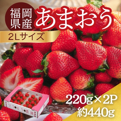 【2027年3月～4月発送】うるう農園のあまおう(2Lサイズ) 約220g×2パック(約440g)