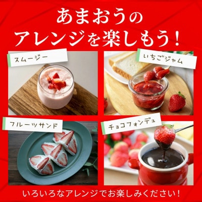 【2027年3月～4月発送】うるう農園のあまおう(2Lサイズ) 約220g×2パック(約440g)