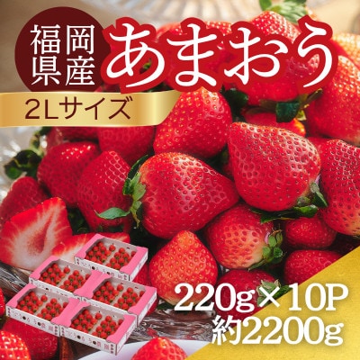 【2027年3月～4月発】うるう農園のあまおう(2Lサイズ) 約220g×10パック(約2200g)