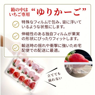 【2027年3月～4月発】うるう農園のあまおう(2Lサイズ) 約220g×10パック(約2200g)