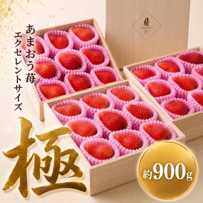 【2026年11月下旬～2027年4月上旬頃発送予定】あまおう至極EX等級赤 約900g(重箱3段)