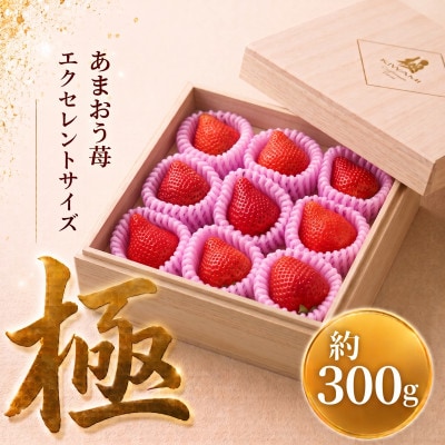 【2026年11月下旬～2027年4月上旬頃発送予定】あまおう至福EX等級赤 約300g(重箱1段)