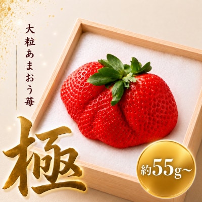 【2026年11月下旬～2027年4月上旬頃発送予定】あまおう「極」大粒 約55g～