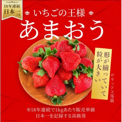 【2026年11月下旬～2027年4月上旬頃発送予定】あまおう「極」大粒 約55g～