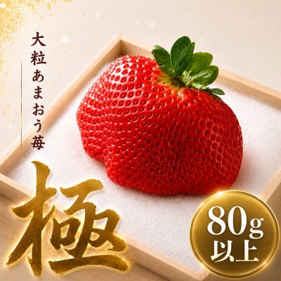 【2026年11月下旬～2027年4月上旬頃発送予定】あまおう「極」大粒 約80g